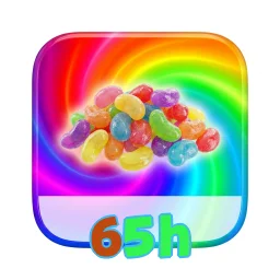 65h